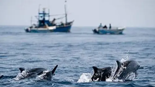 Sri Lanka, l'île émeraude E01 Le royaume des lacs