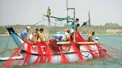 Sri Lanka, l'île émeraude