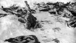 Stalingrad L'heure de la puissance