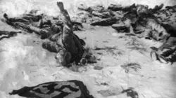 Stalingrad L'heure de la puissance