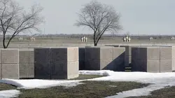 Stalingrad : les voix de la mémoire