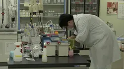 Starbucks, la folie des grandeurs