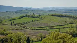 Visuel de Stoemp Minute