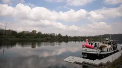 Stoemp, pèkèt... et des rawettes !