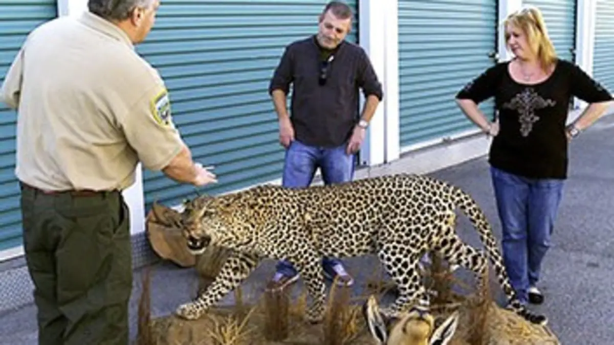 Storage Hunters S01E04 La Nouvelle-Orléans, vaudou et taxidermie