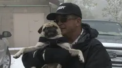 Storage Wars : enchères surprises Allée à tout prix