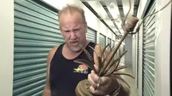 Storage Wars : enchères surprises  Ivy touche le gros lot