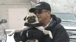 Storage Wars : enchères surprises Bonnes affaires en centre-ville en streaming