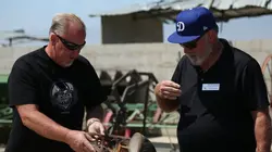 Storage Wars : enchères surprises Des poupées et des box en streaming