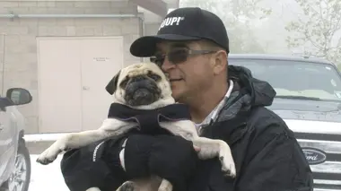 Storage Wars : enchères surprises Bonnes affaires en centre-ville