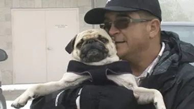 Storage Wars : enchères surprises S09E23 Jeux d'arcades à Arcadia