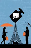 Affiche 1001 grammes