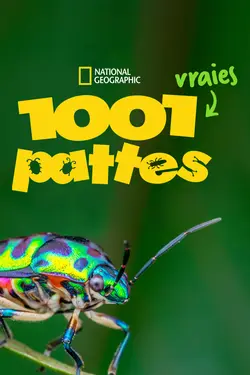 1001 vraies pattes S01E01 La Métropole