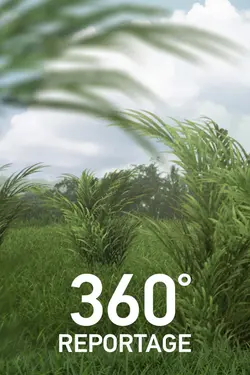 360° - Géo S15E11 Thaïlande - Le dernier voyage d’un éléphant