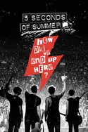 Affiche 5 Seconds of Summer: How Did We End Up Here ? Live at Wembley en streaming