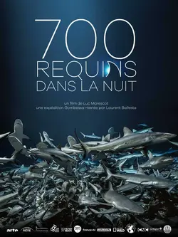 Affiche 700 requins dans la nuit