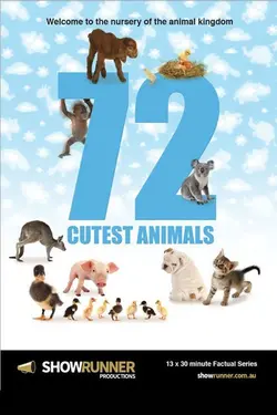 72 Animaux Mignons S01E05 Toutes griffes dehors