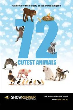 72 Animaux Mignons S01E07 Bizarres et merveilleux
