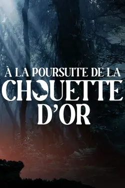 Affiche A la poursuite de la chouette d'or