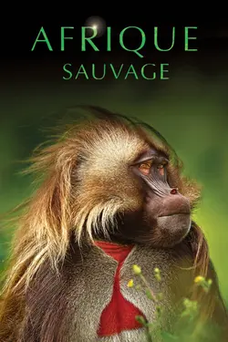 Afrique sauvage S01E03 Le bassin du Congo
