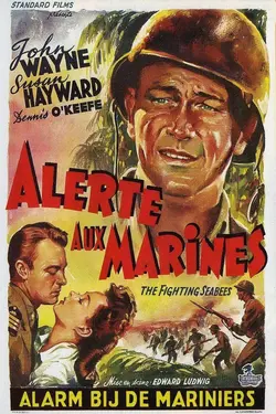 Affiche Alerte aux marines
