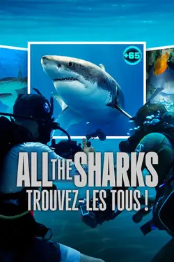 All the Sharks : Trouvez-les tous !