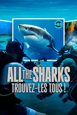 All the Sharks : Trouvez-les tous ! S01E01 Épisode 1