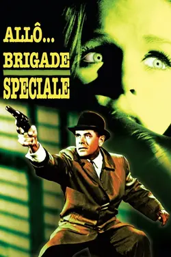 Affiche Allô, brigade spéciale