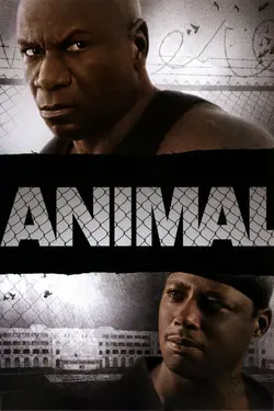 Affiche Animal