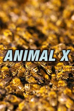Animal X S02E06 Épisode 6