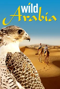 Arabie sauvage S01E01 Au coeur du désert