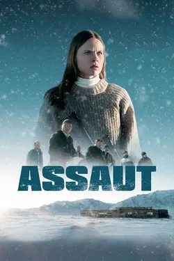 Affiche Assaut