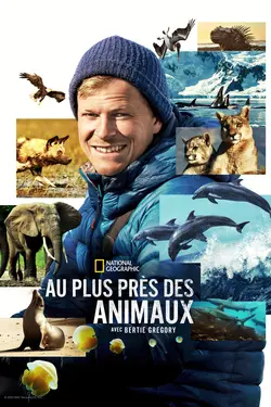 Au plus près des animaux avec Bertie Gregory S01E03 Les lycaons du Botswana