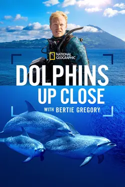 Affiche Au plus près des dauphins avec Bertie Gregory