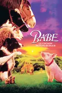 Affiche Babe, le cochon devenu berger en streaming