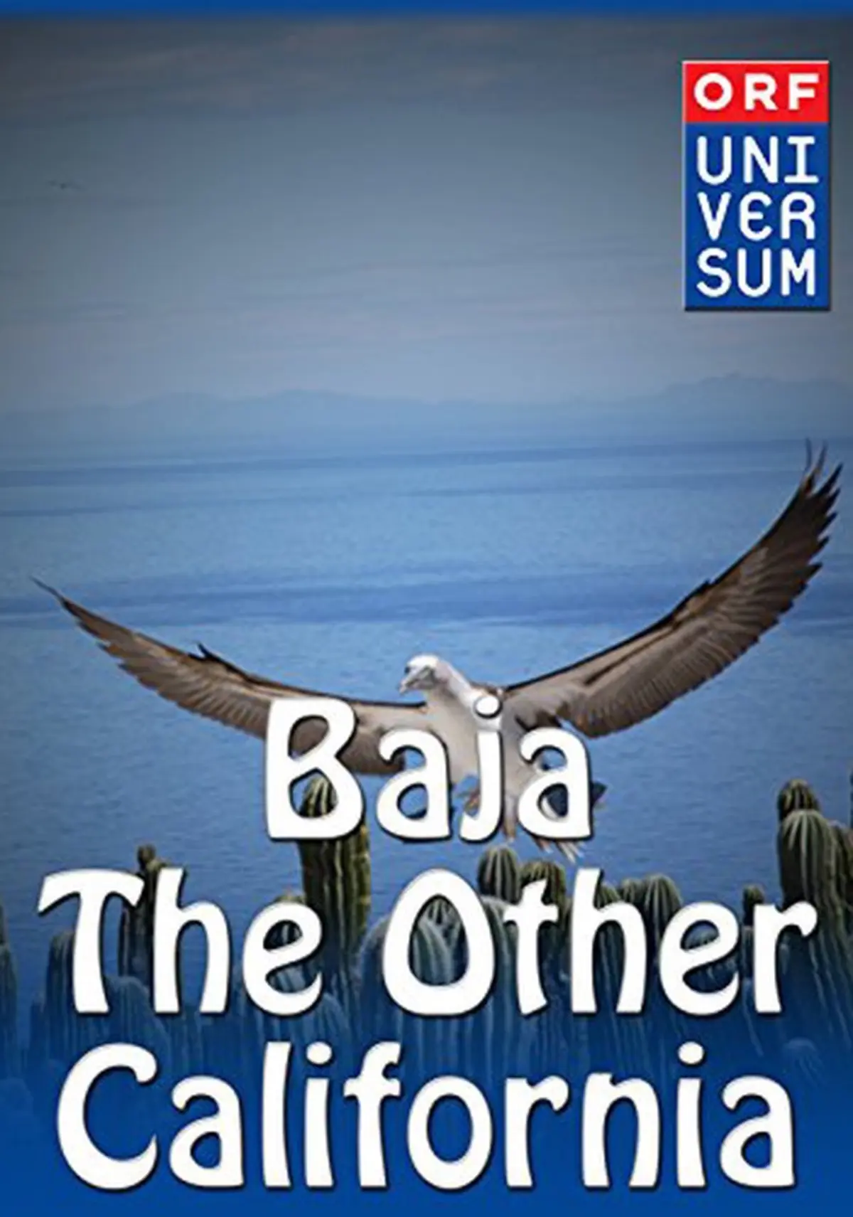Baja: The Other California