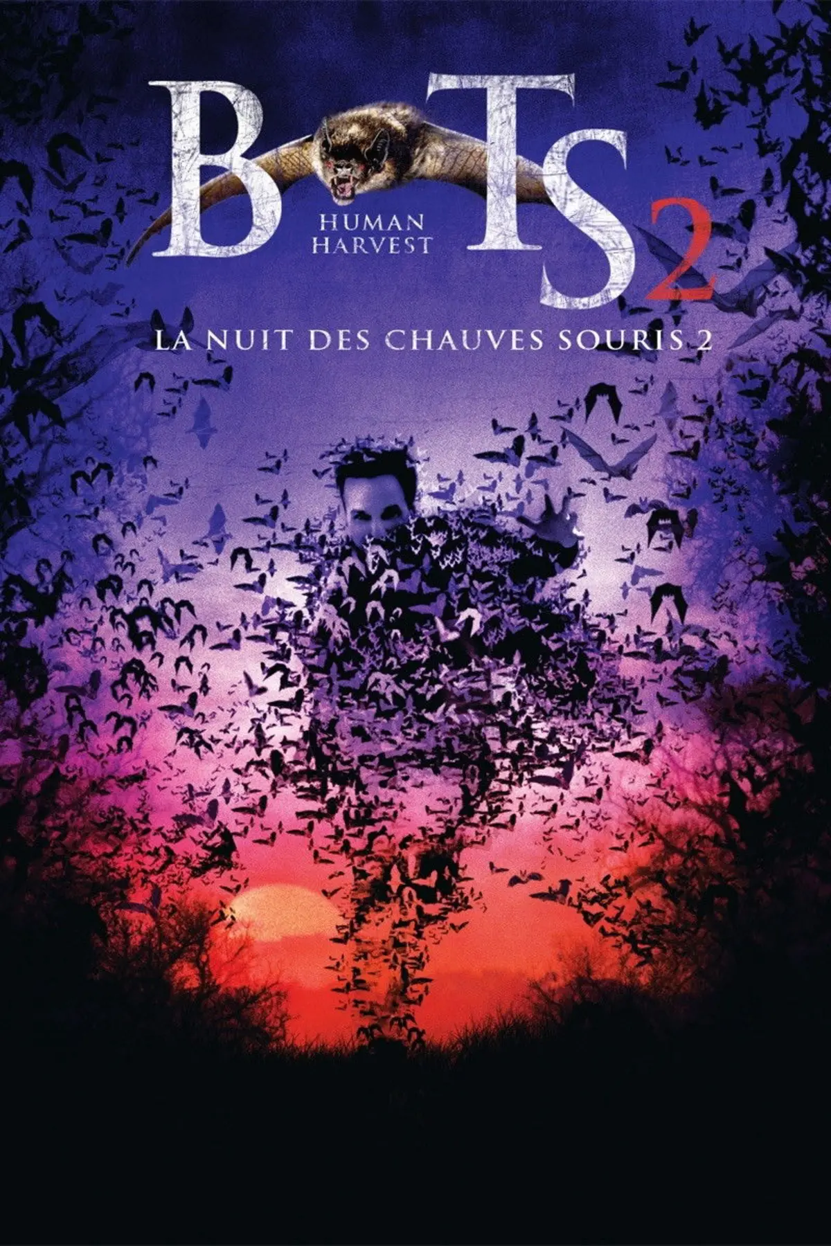BATS 2, La nuit des chauves-souris 2