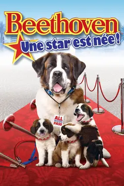 Beethoven : une star est née !