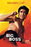 Affiche Big Boss