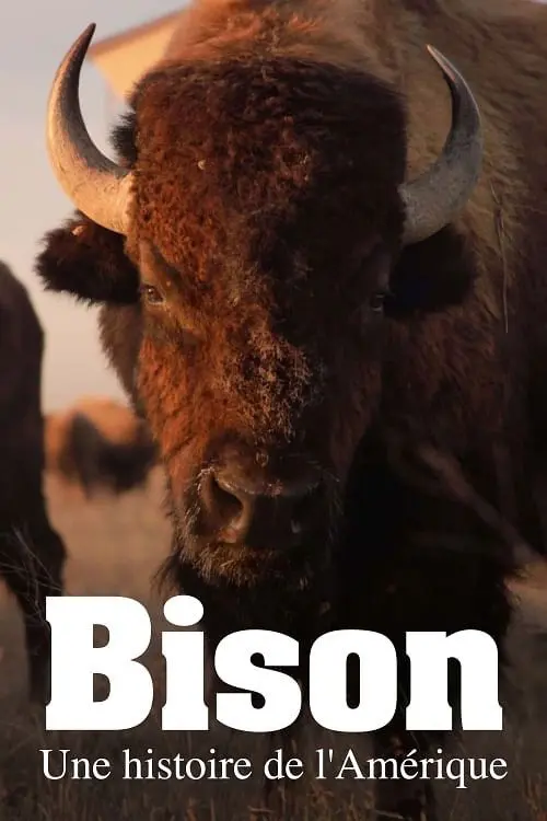 Bison : Une histoire de l'Amérique
