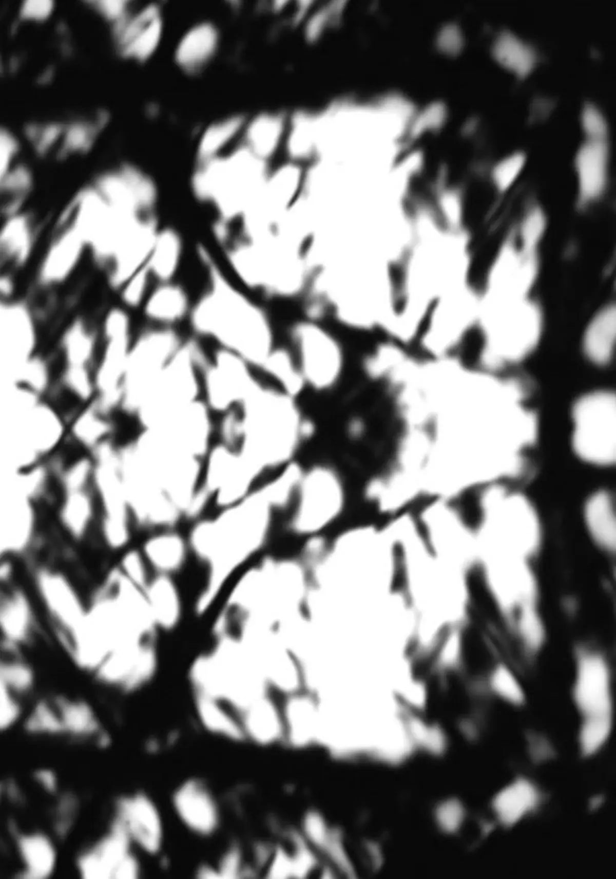 Black and White Trypps Number Two