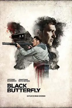 Affiche Black Butterfly