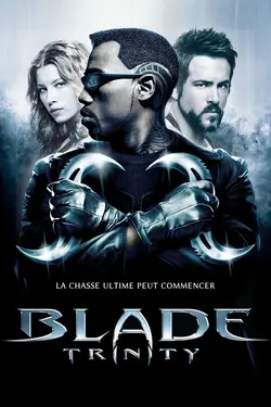 Affiche Blade Trinity