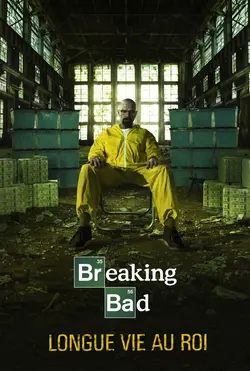 Affiche Breaking Bad  S03E13 Pleine mesure