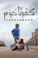 Affiche Audiences TV : Capharnaüm
