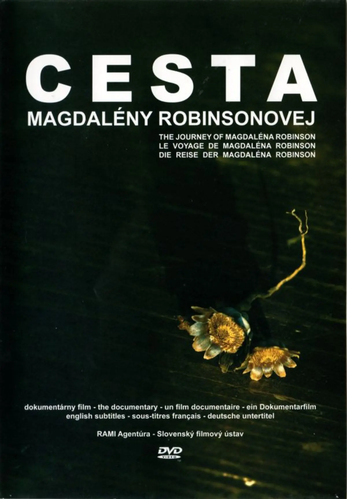 Cesta Magdalény Robinsonovej