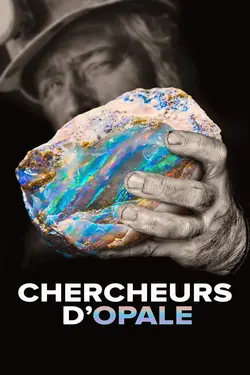 Chercheurs d'opale S02E05 Partenaires particuliers