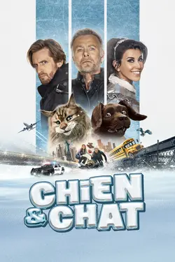 Affiche Chien & chat