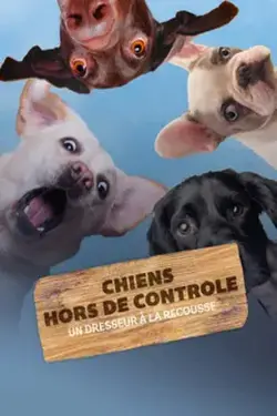 Chiens hors de contrôle : Un dresseur à la rescousse S01E07 Jeu de patience