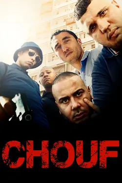 Affiche Chouf